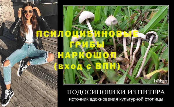 шишки Балахна