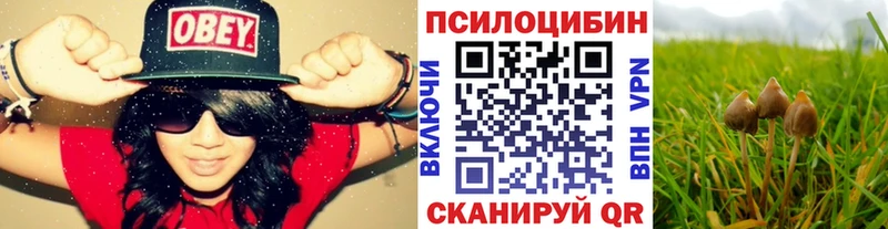 mega зеркало  Пласт  Галлюциногенные грибы мухоморы  где можно купить  